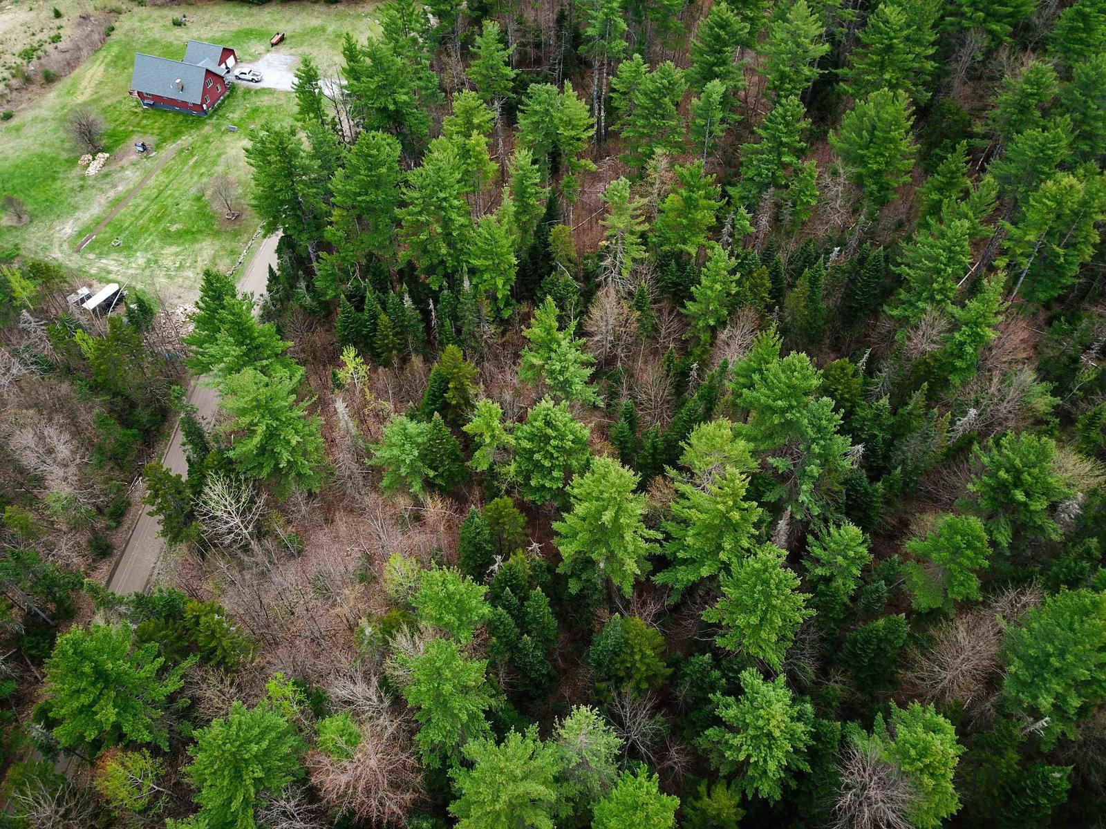 280 Guyette Road