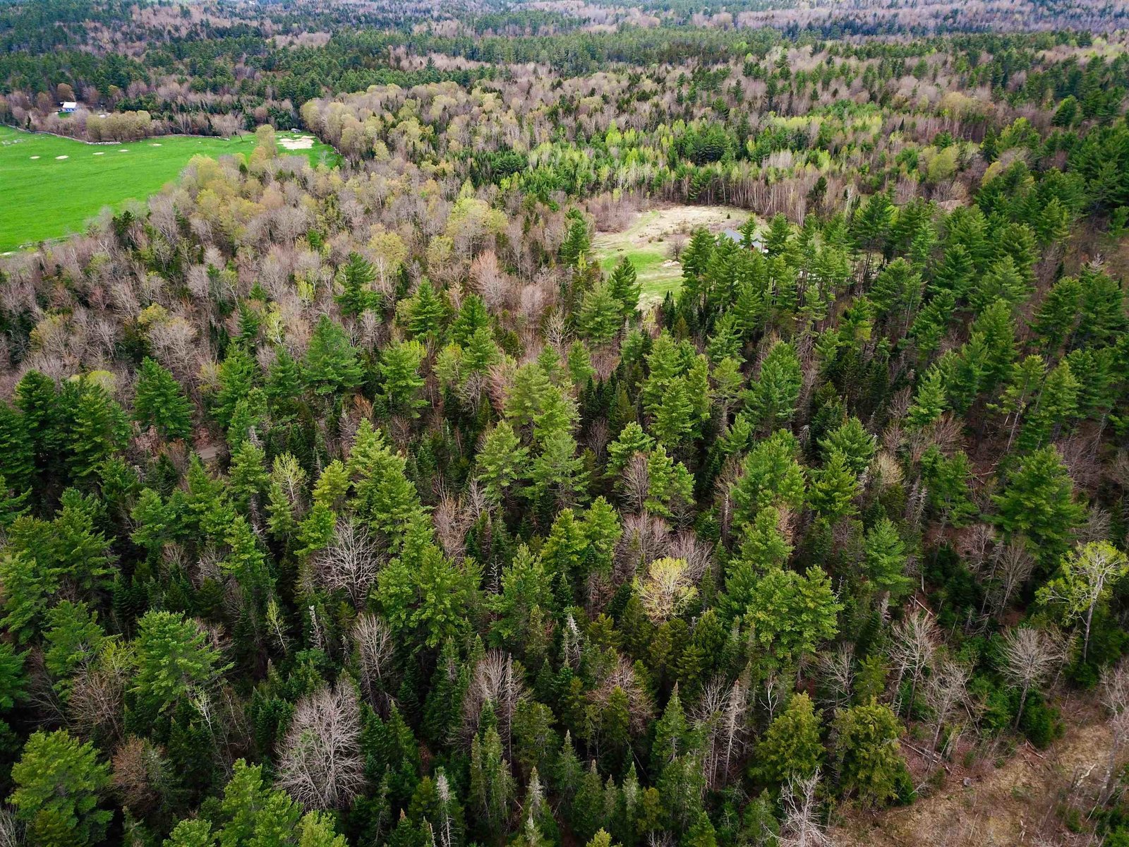280 Guyette Road