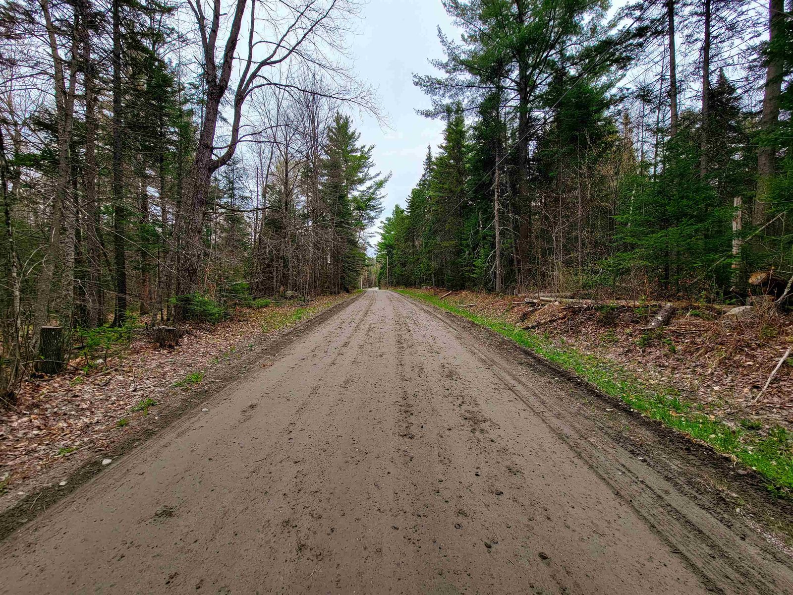 280 Guyette Road