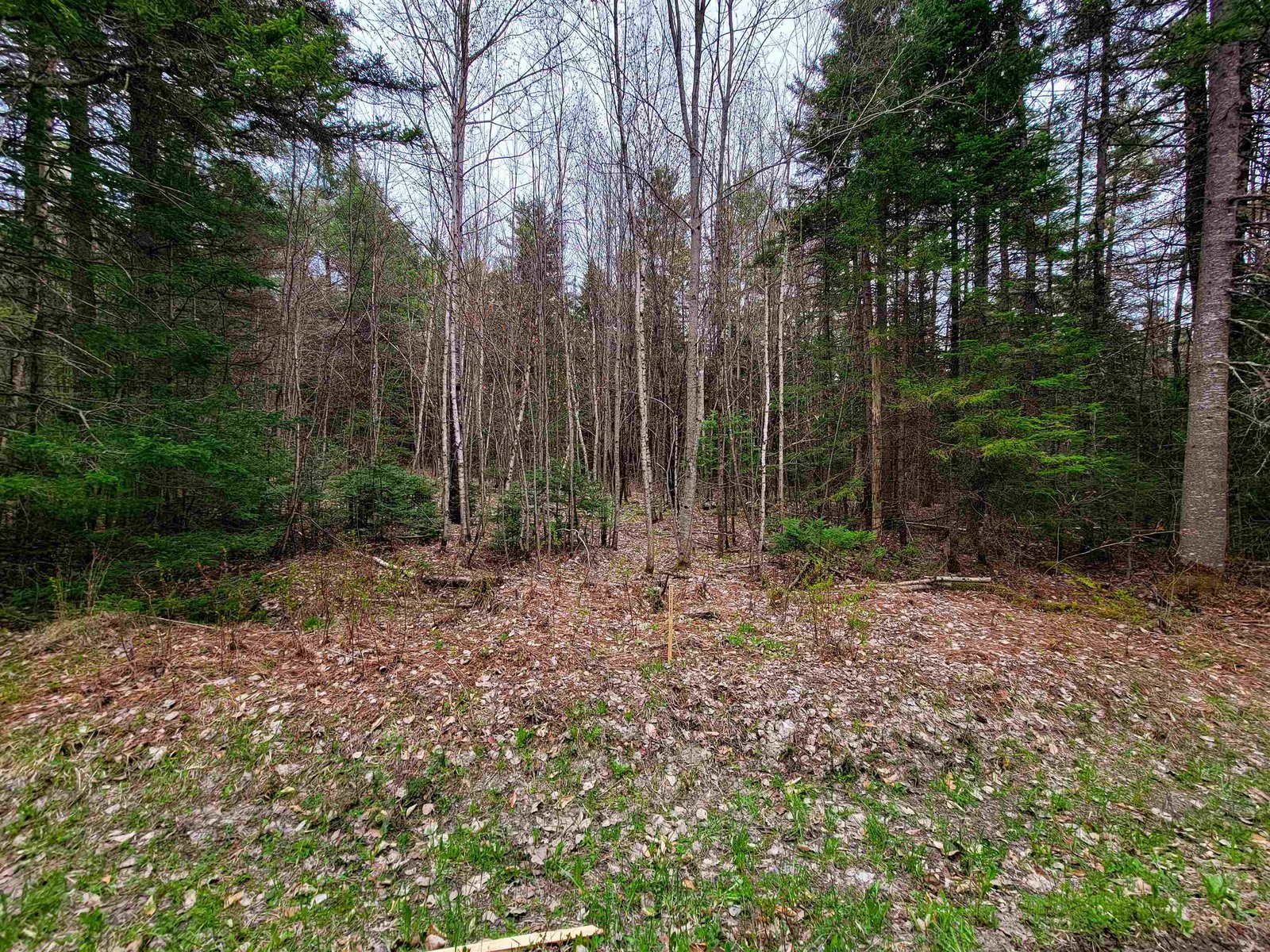 280 Guyette Road
