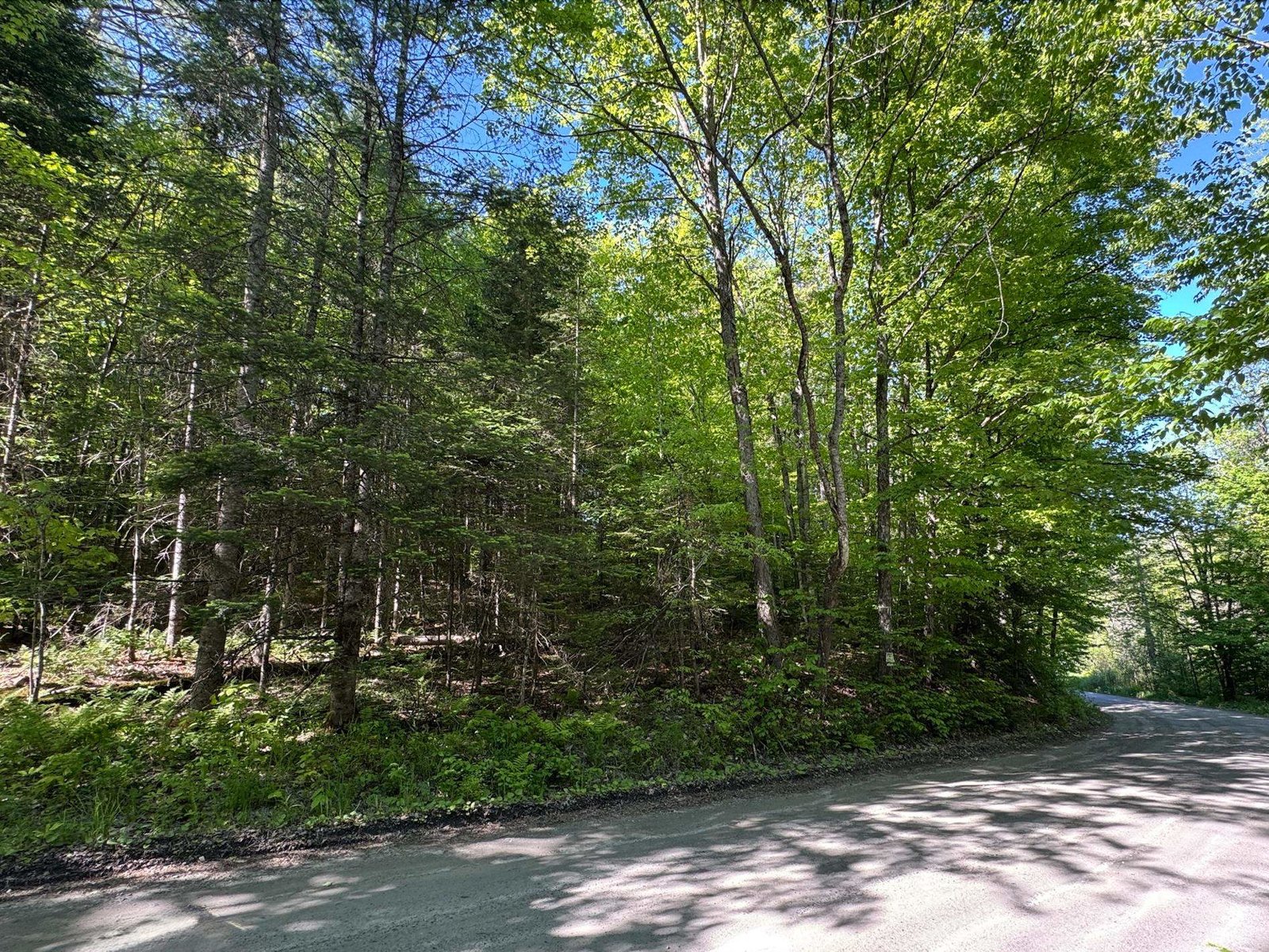 2800 Dugar Brook Road