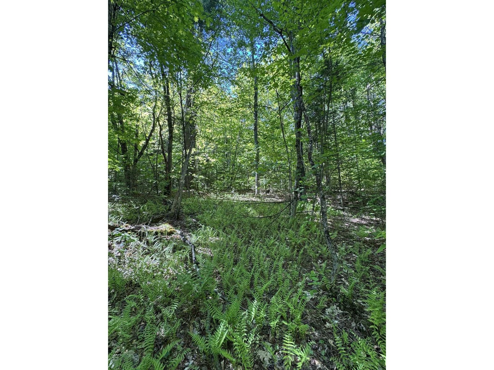 2800 Dugar Brook Road