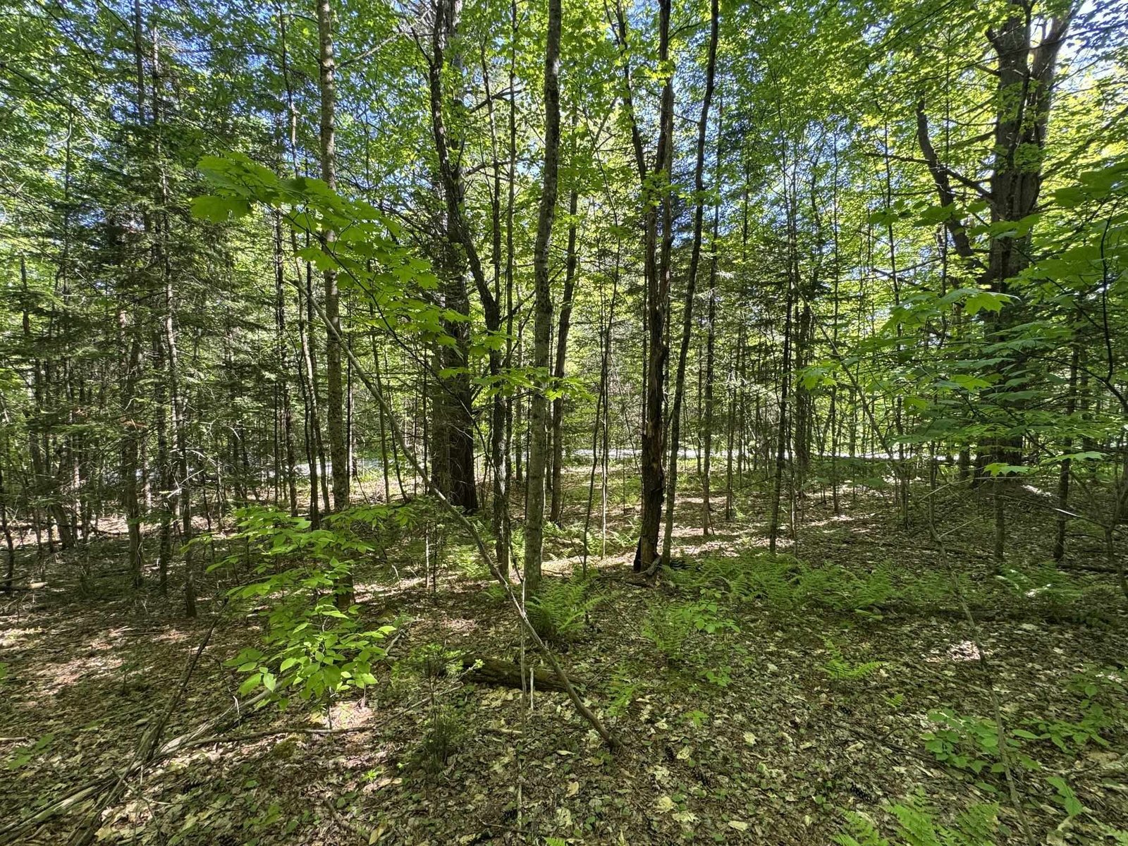 2800 Dugar Brook Road