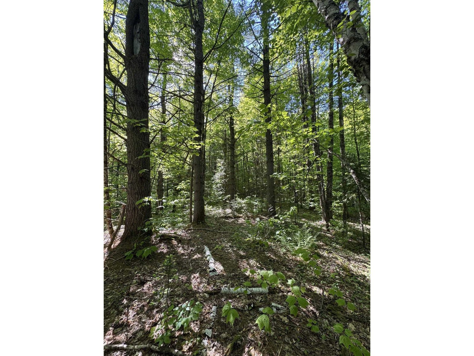 2800 Dugar Brook Road