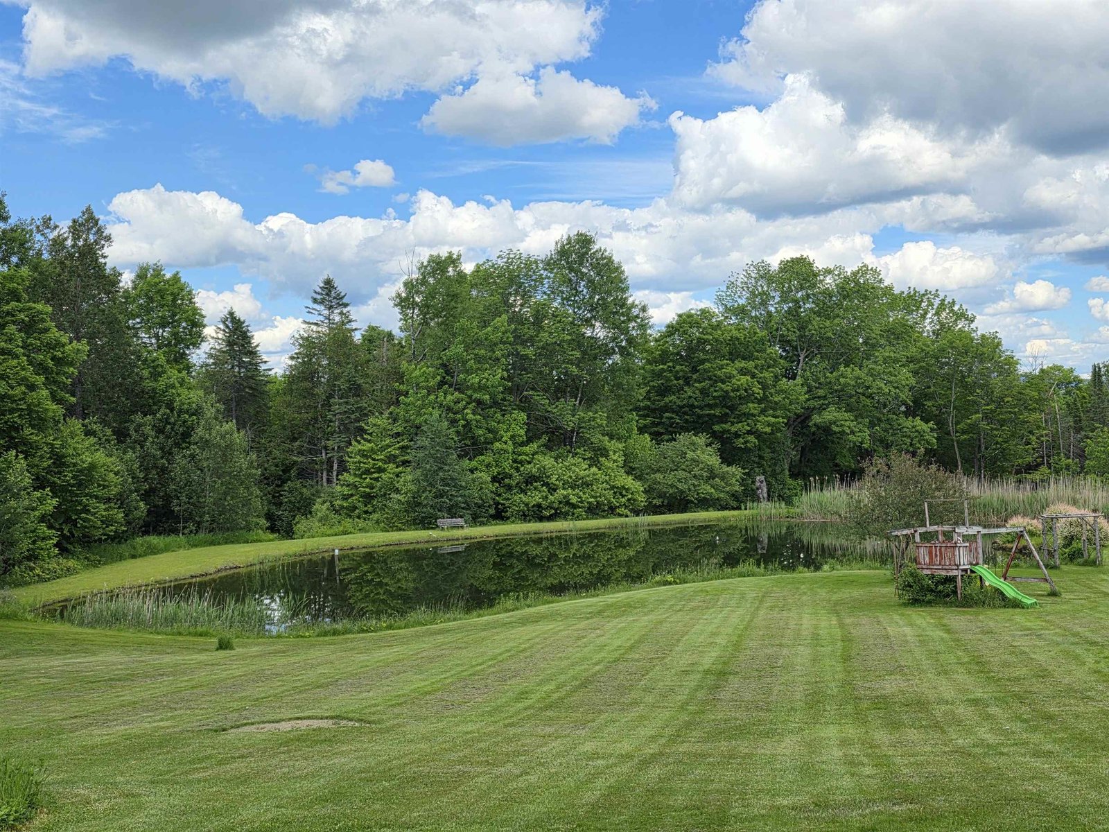 Big private pond for swimming and yes, there are fish in it!
