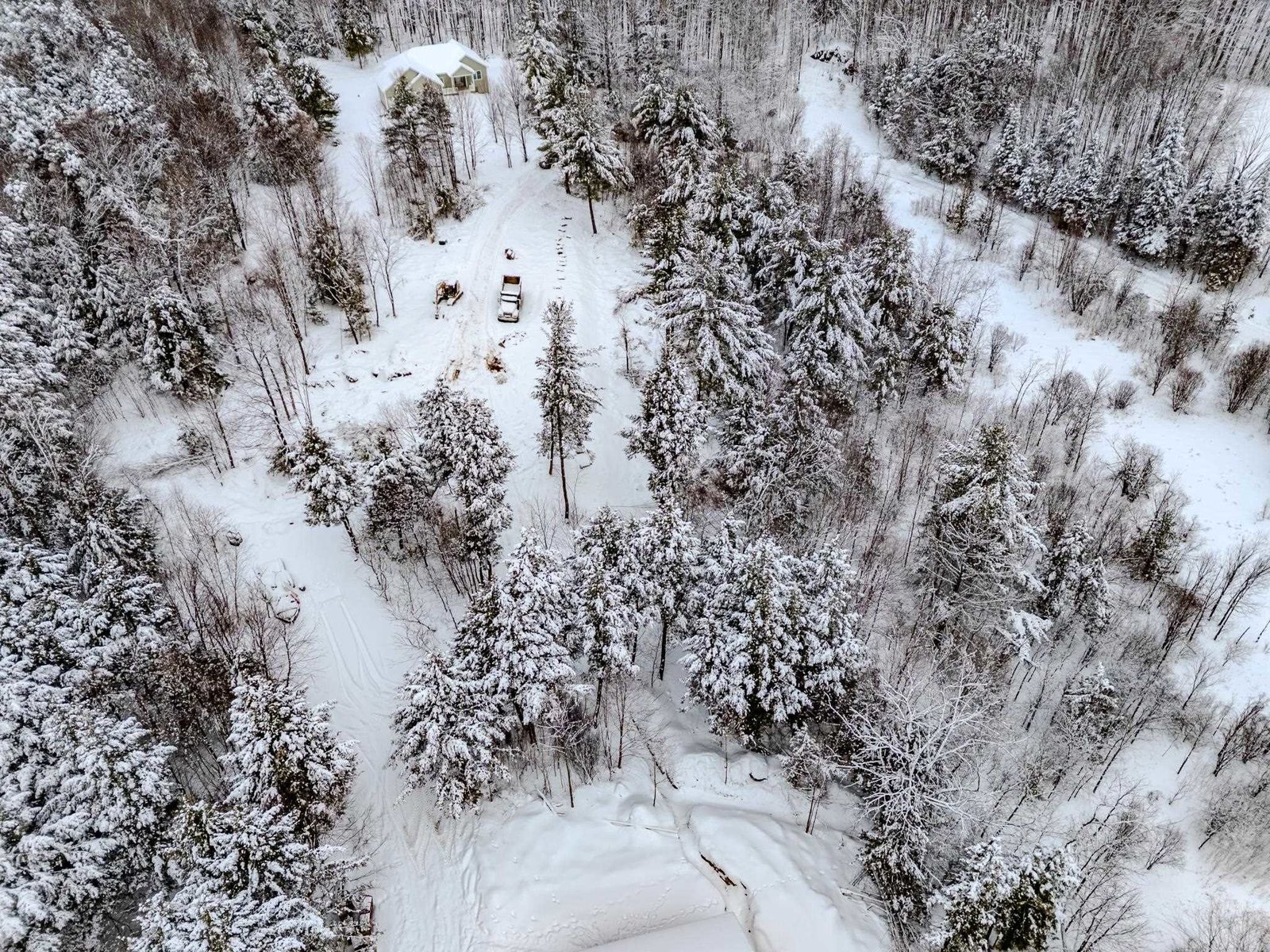 Like to snowshoe or enjoy quiet walks?  This is it...