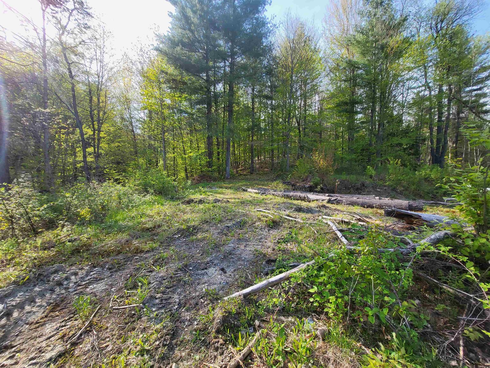 285 Chandler Road