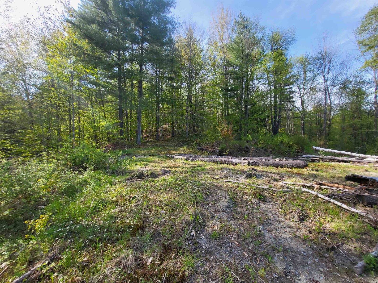 285 Chandler Road