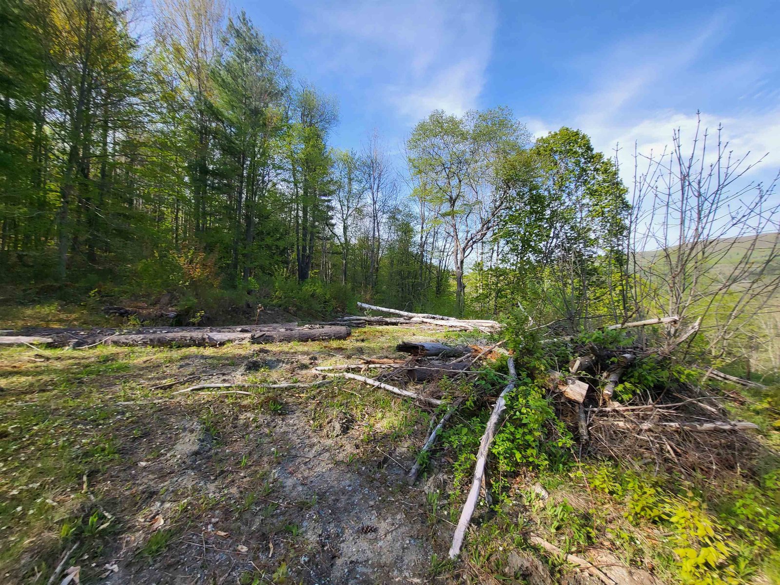 285 Chandler Road
