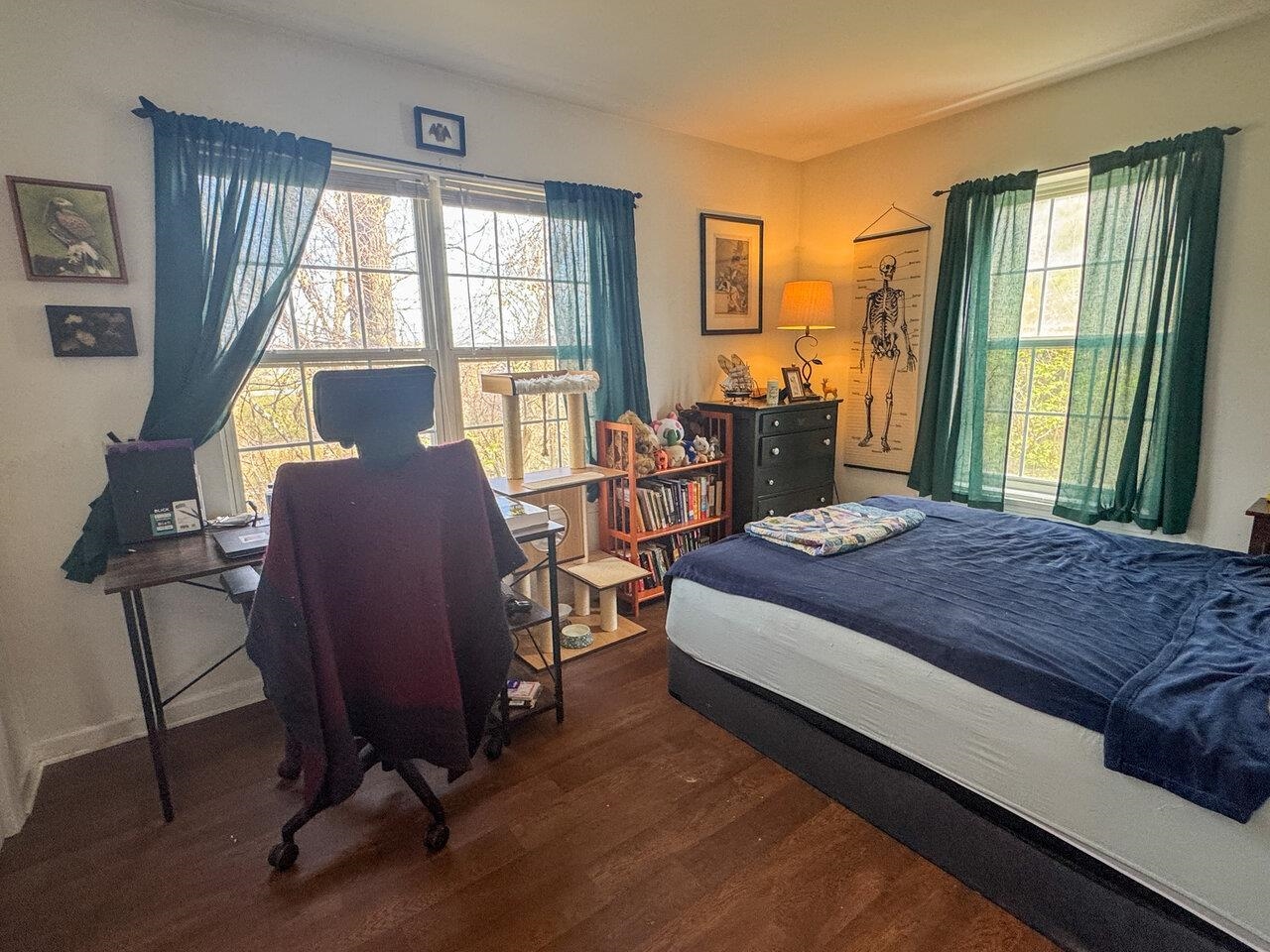 Bedroom with 3 Windows