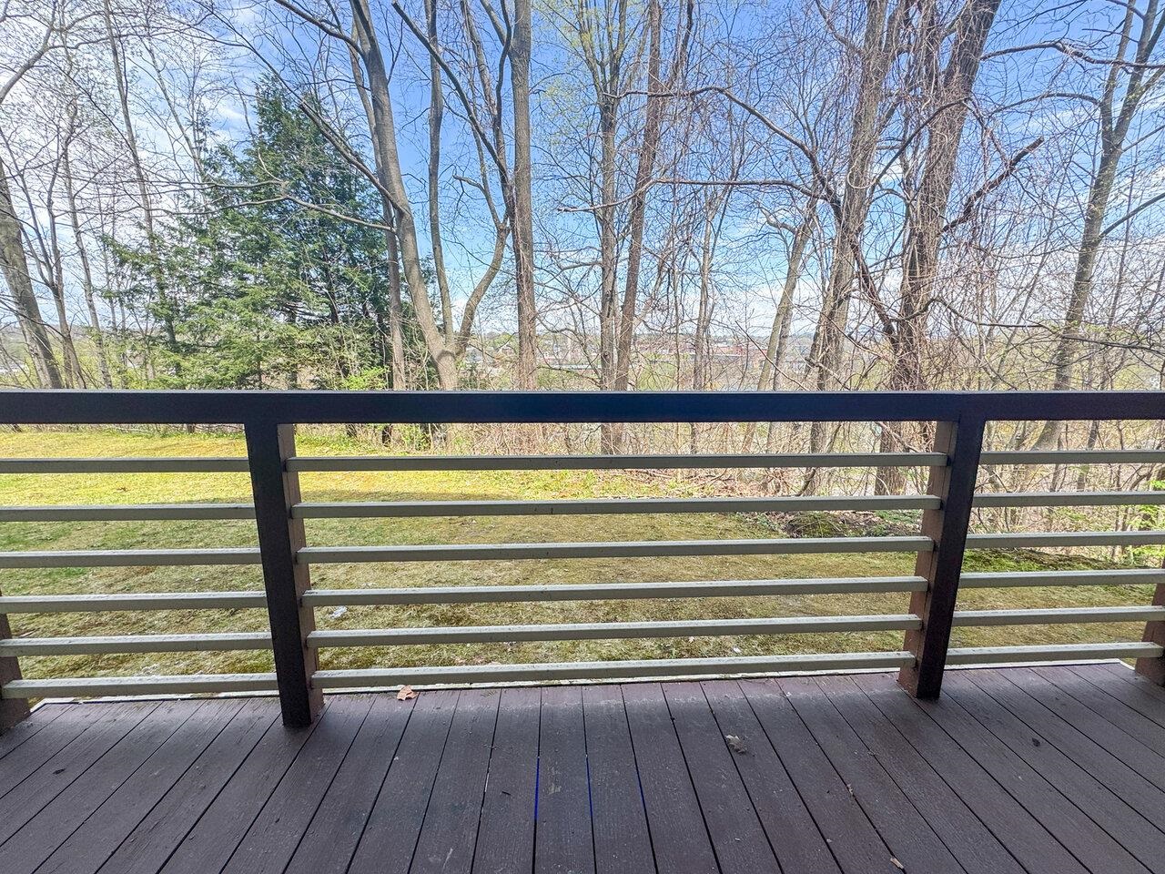 Overlooking Woods