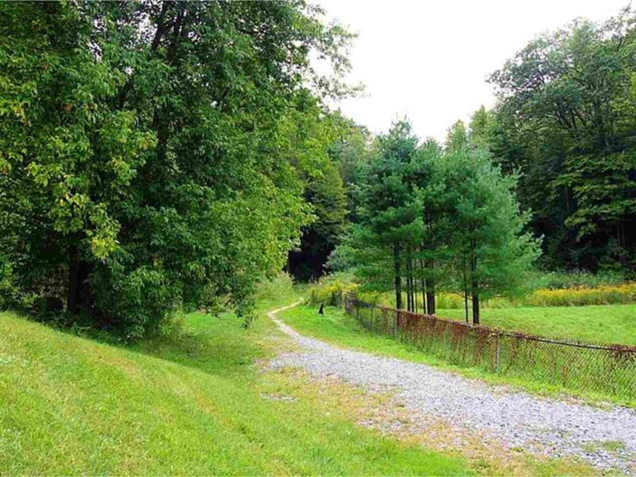 Path to UVM & Medical Center