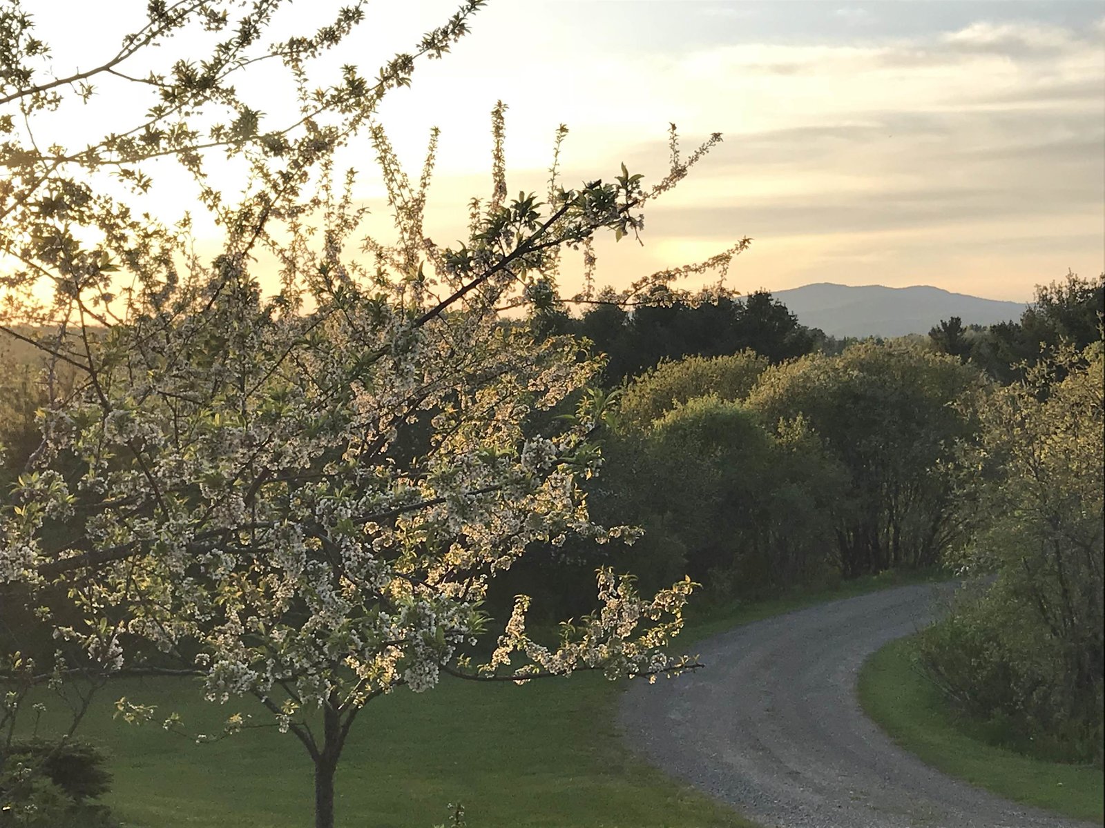 View From Front Porch