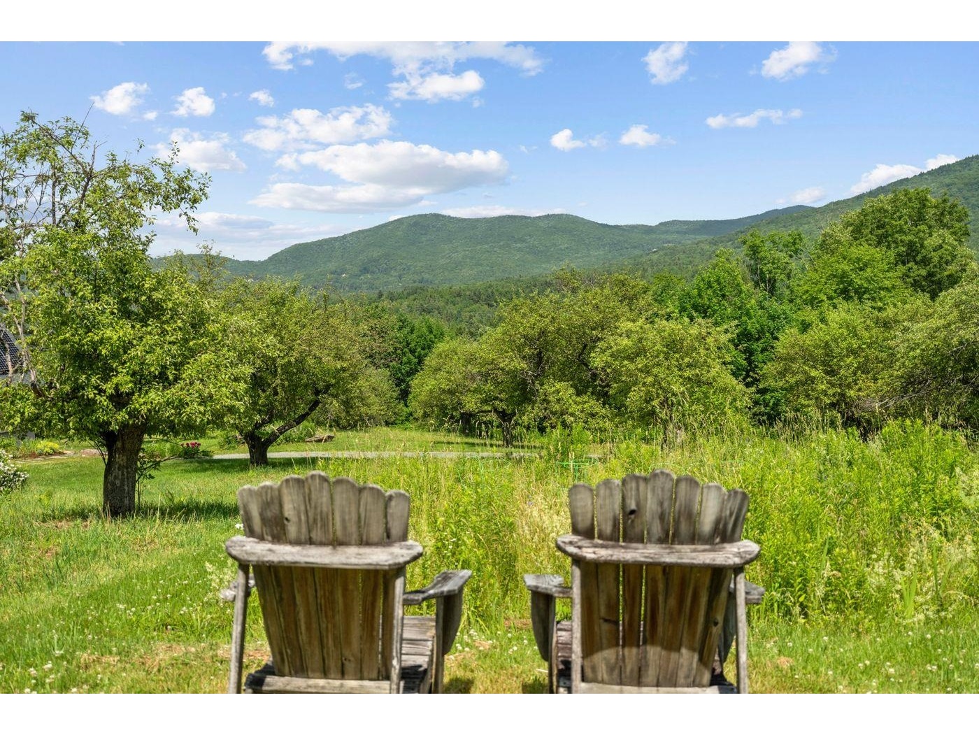 2864 Stowe Hollow Road