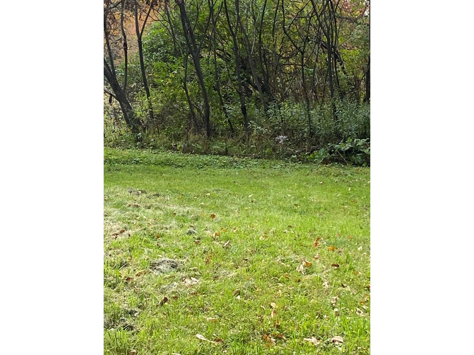 288 Taylor Farm Road