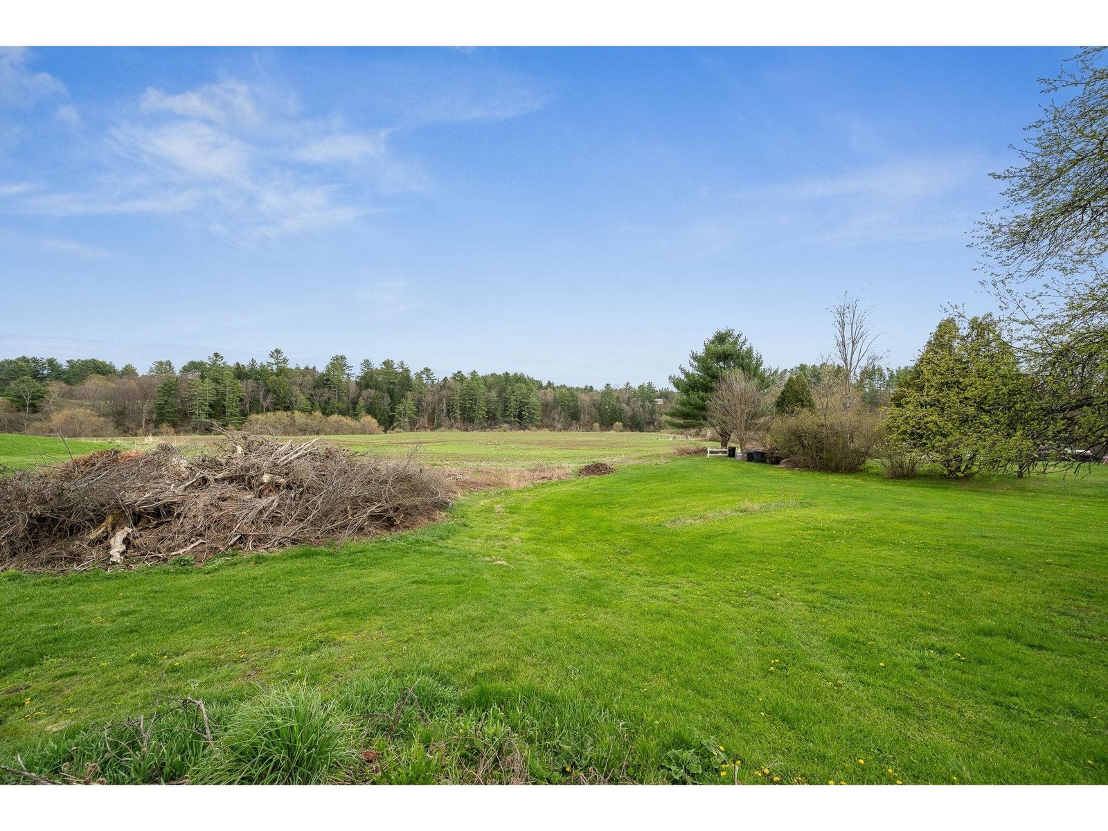 Over an acre of land out back