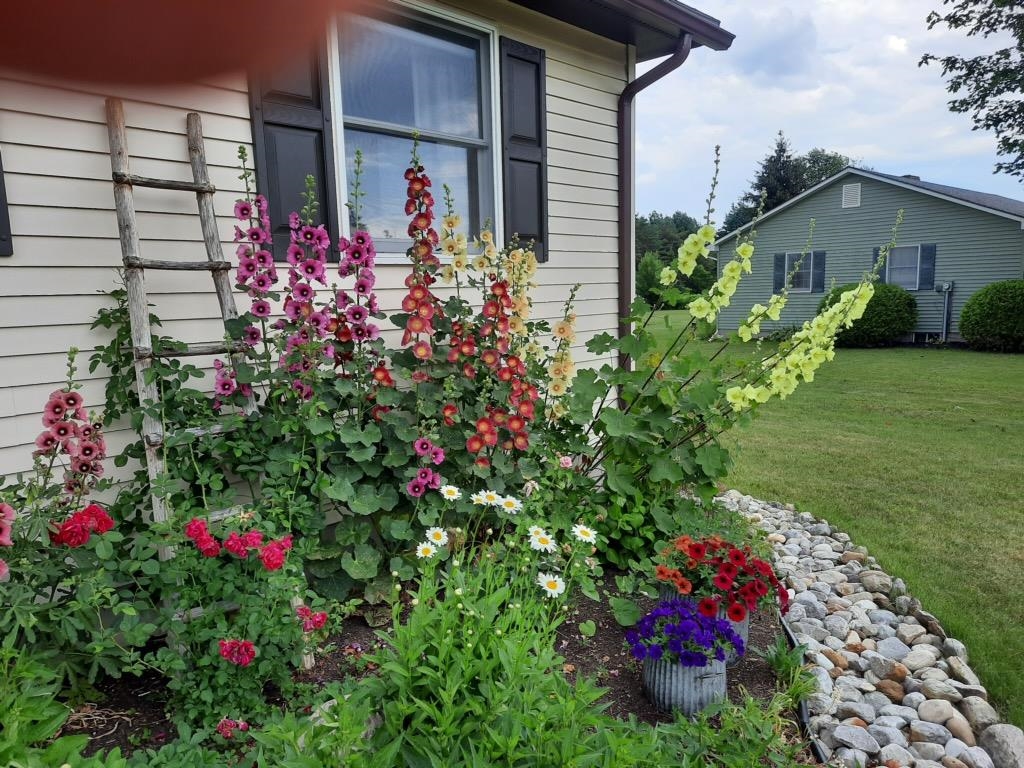 29 Mount Pleasant Drive