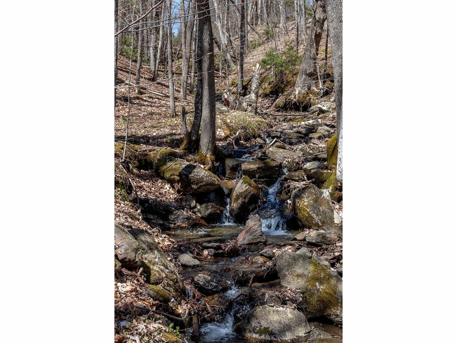 29 Schoolhouse Brook Lane