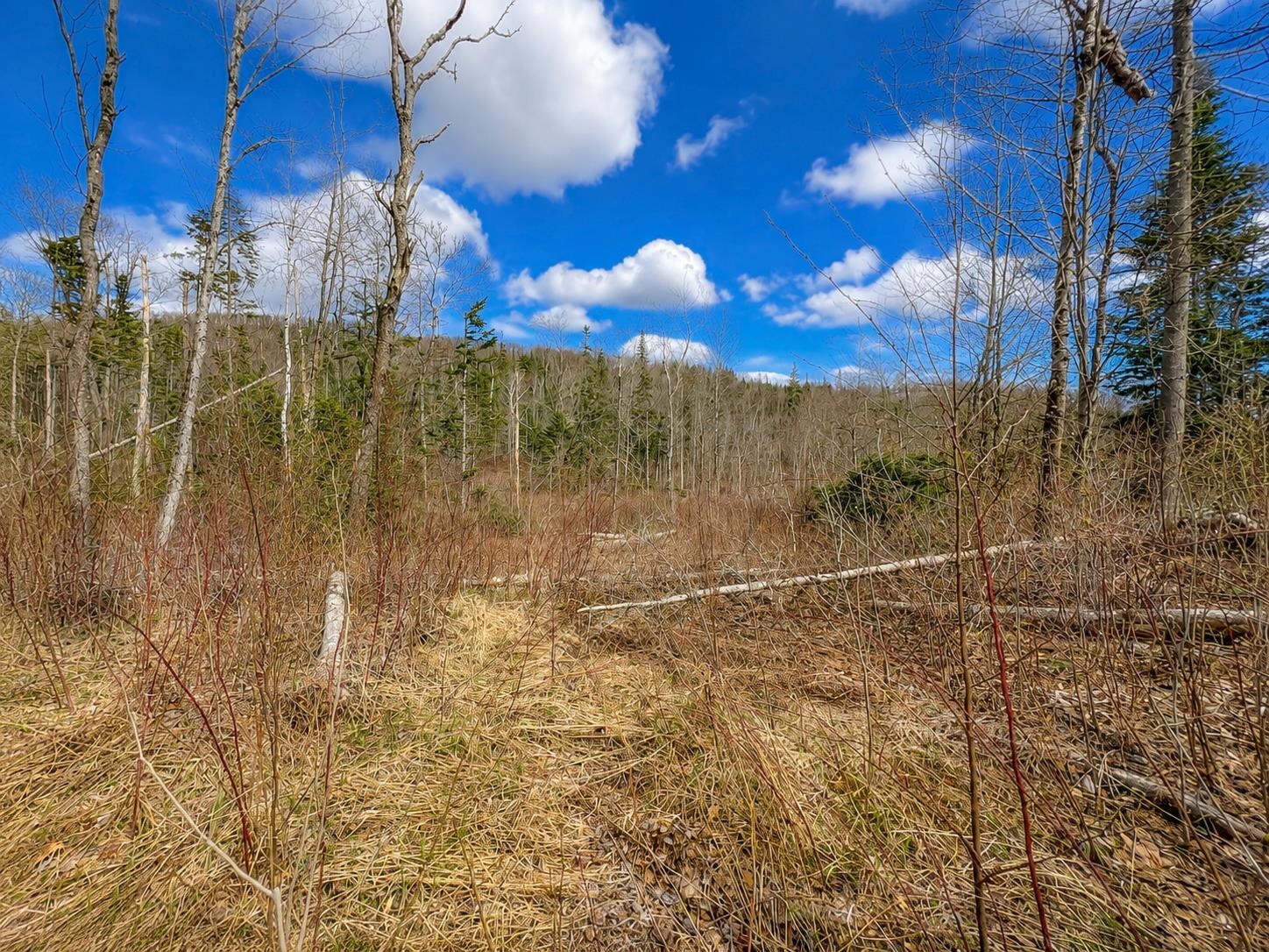 2900 Old Duck Pond Road