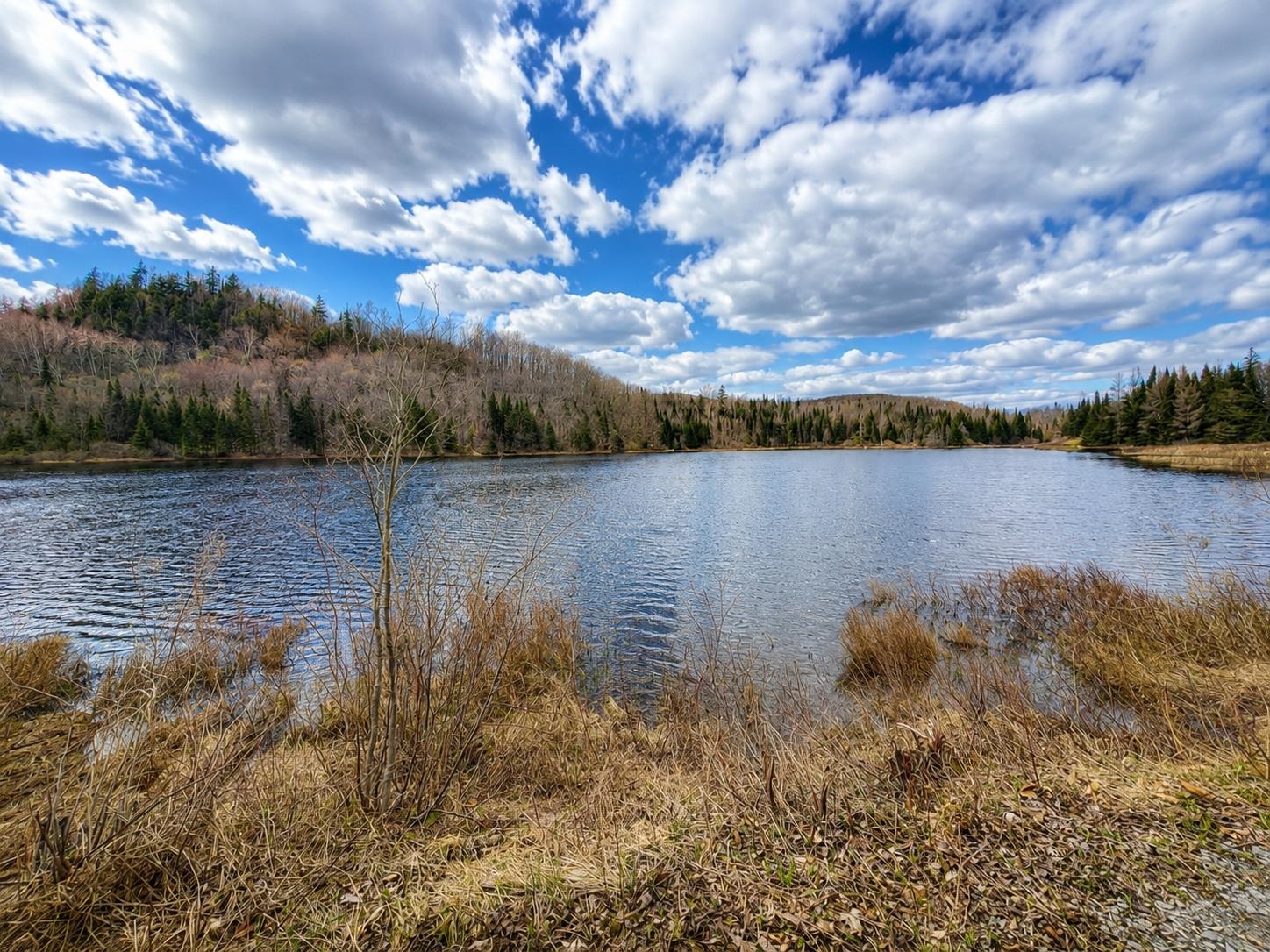 2900 Old Duck Pond Road