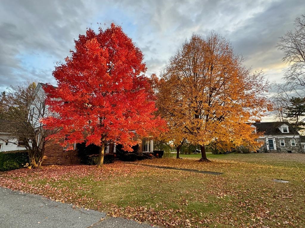 292 Chipman Park