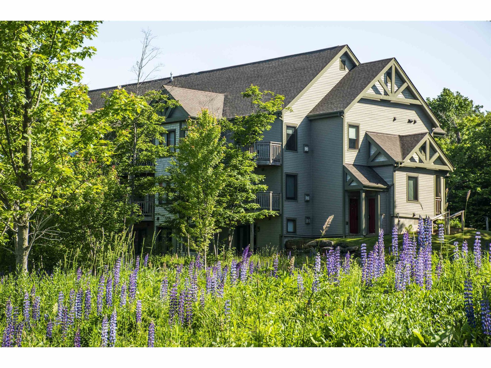 296 Jay Peak Road, Unit 4769
