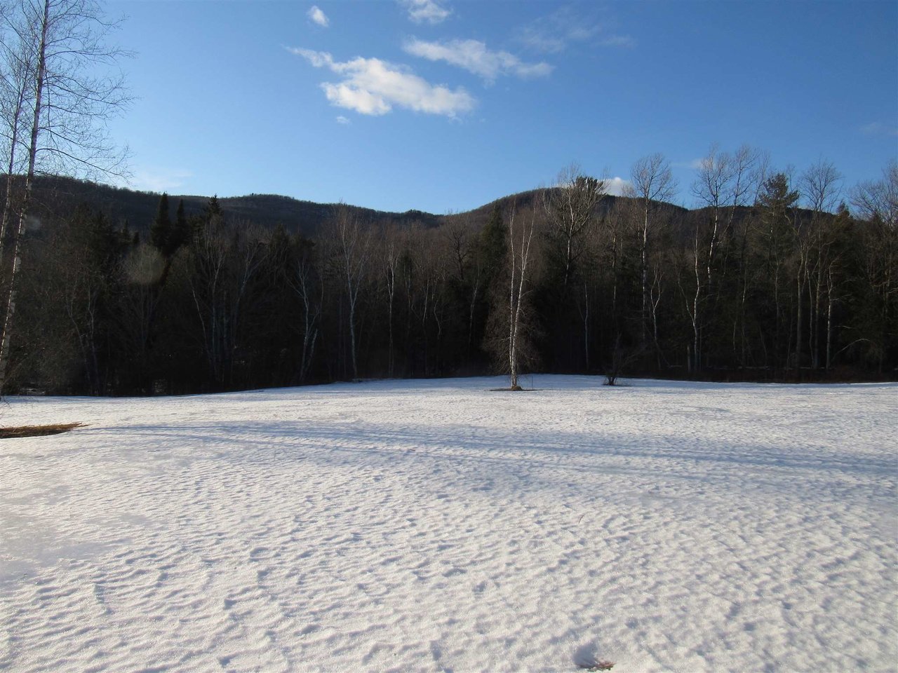 2960 Buzzell Road