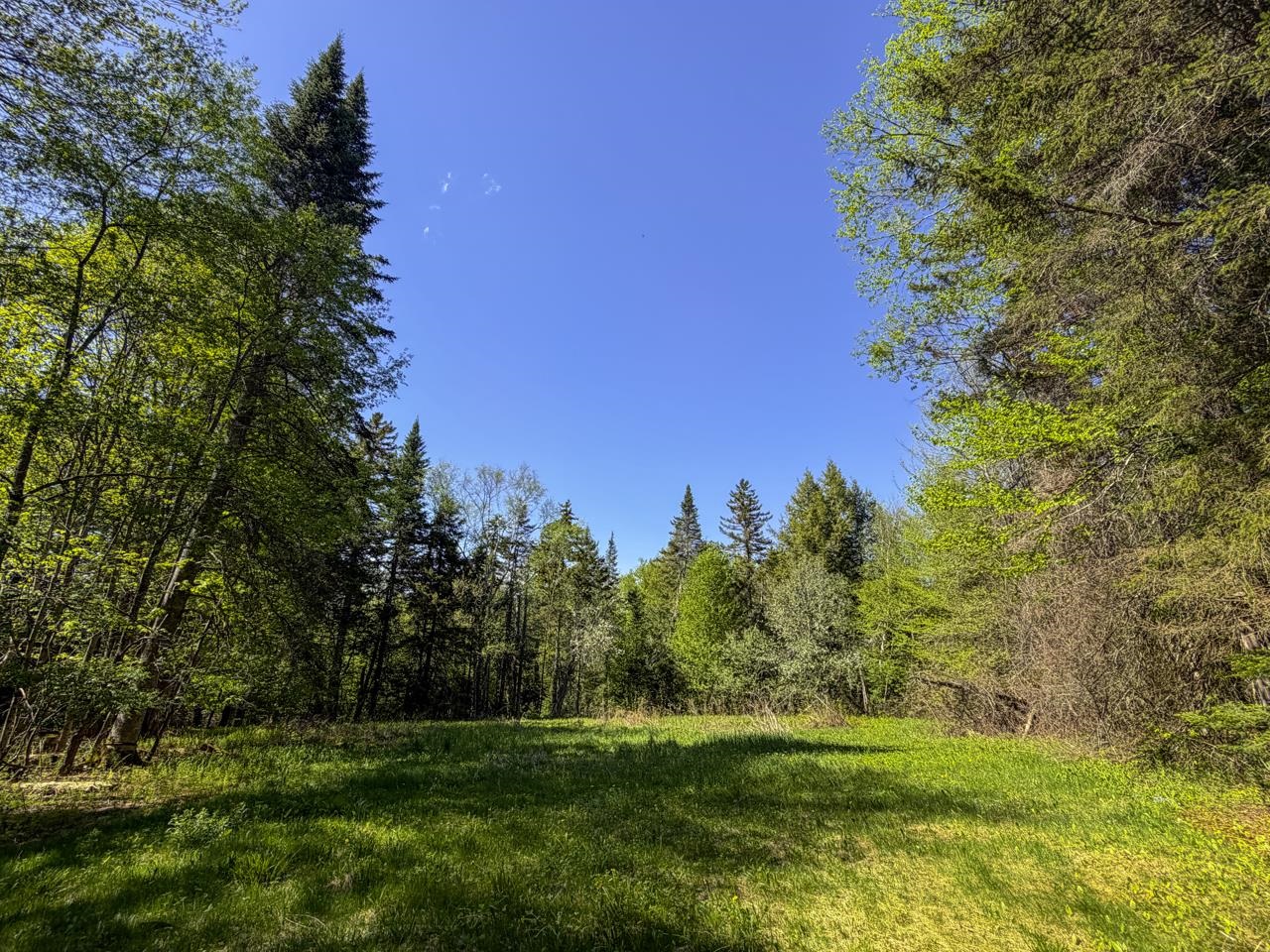 297 Robinson Road