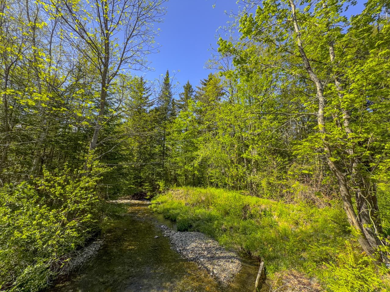 297 Robinson Road