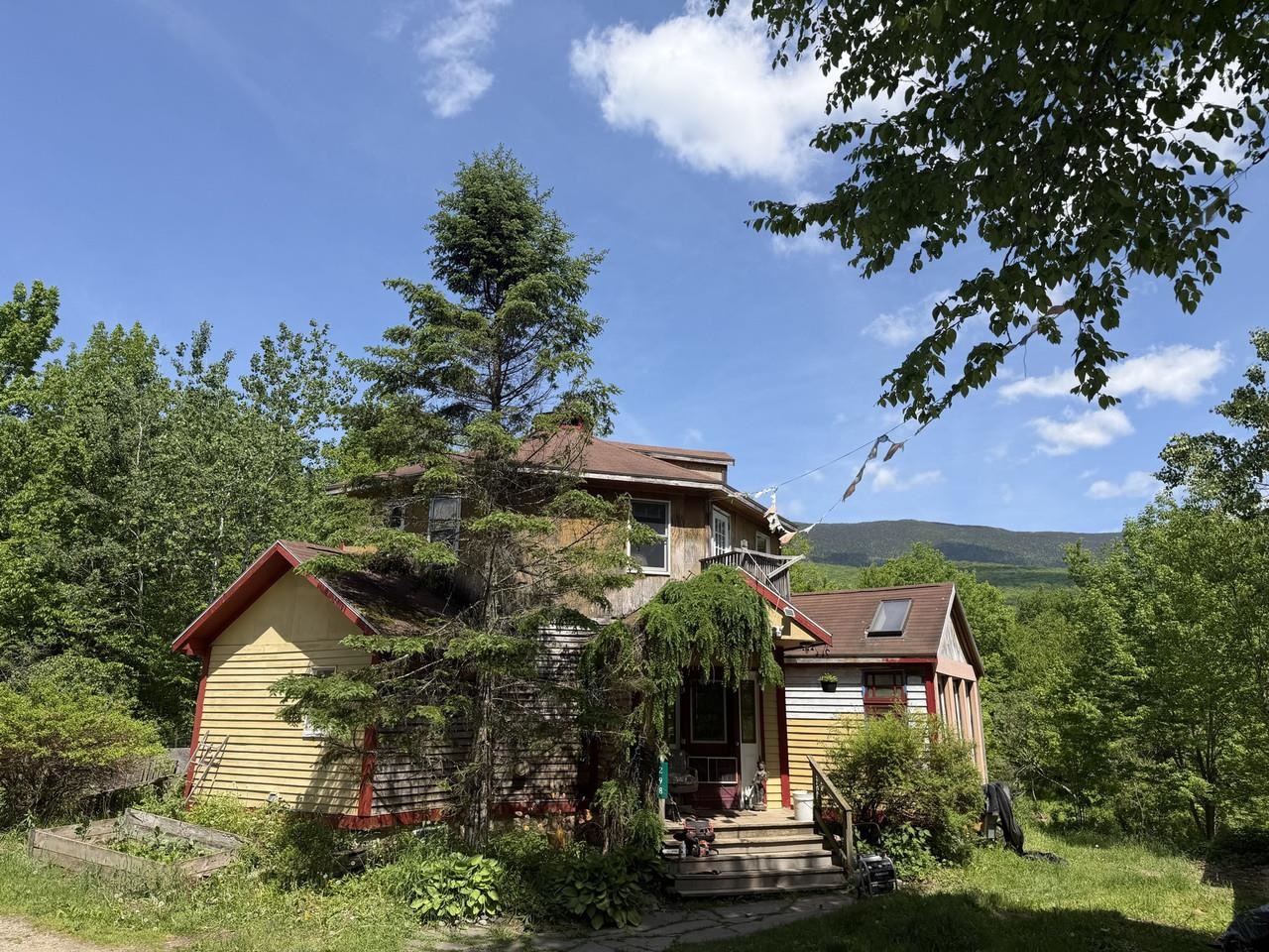 Mountain view house