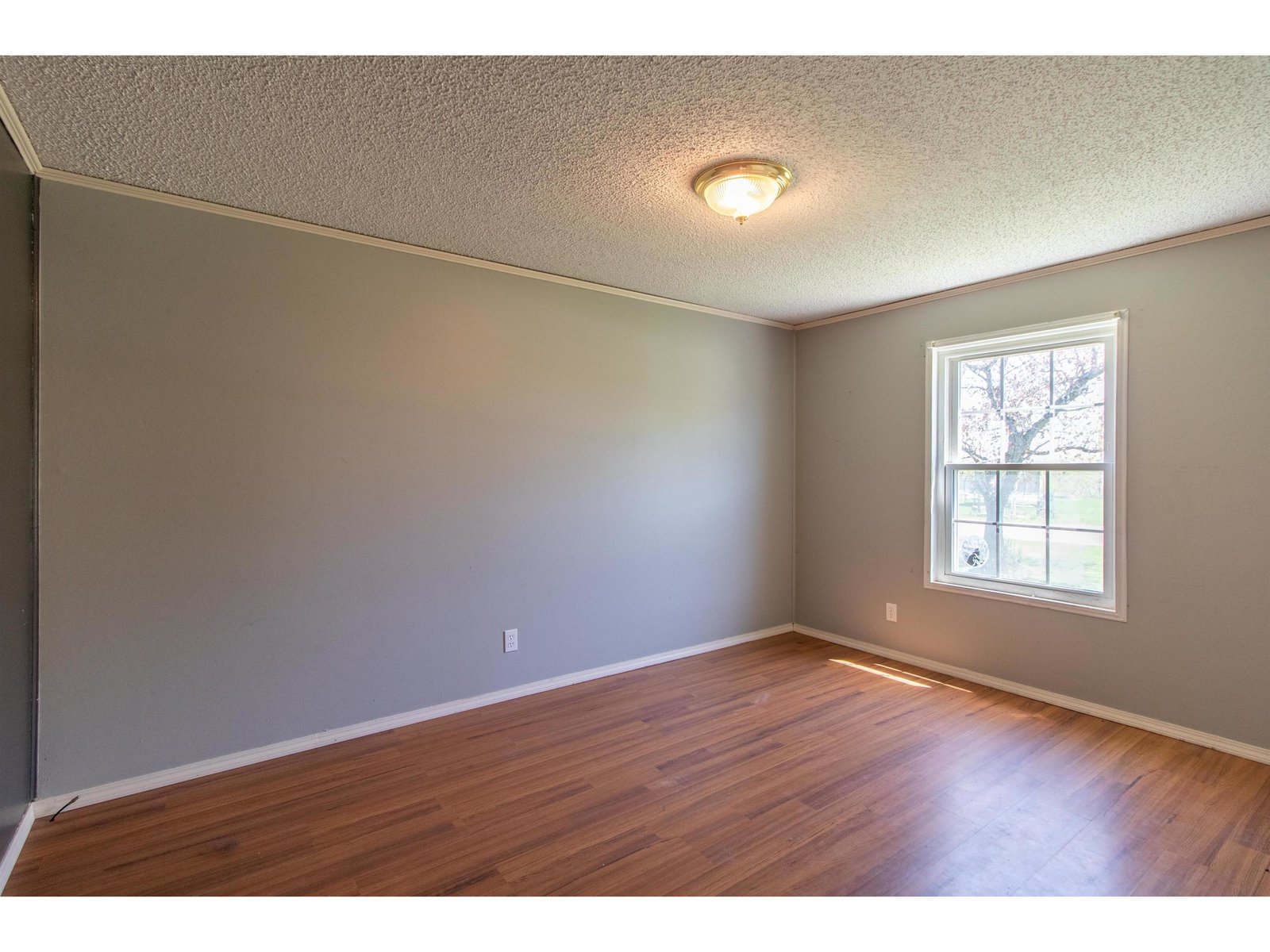298 Memphremagog Views