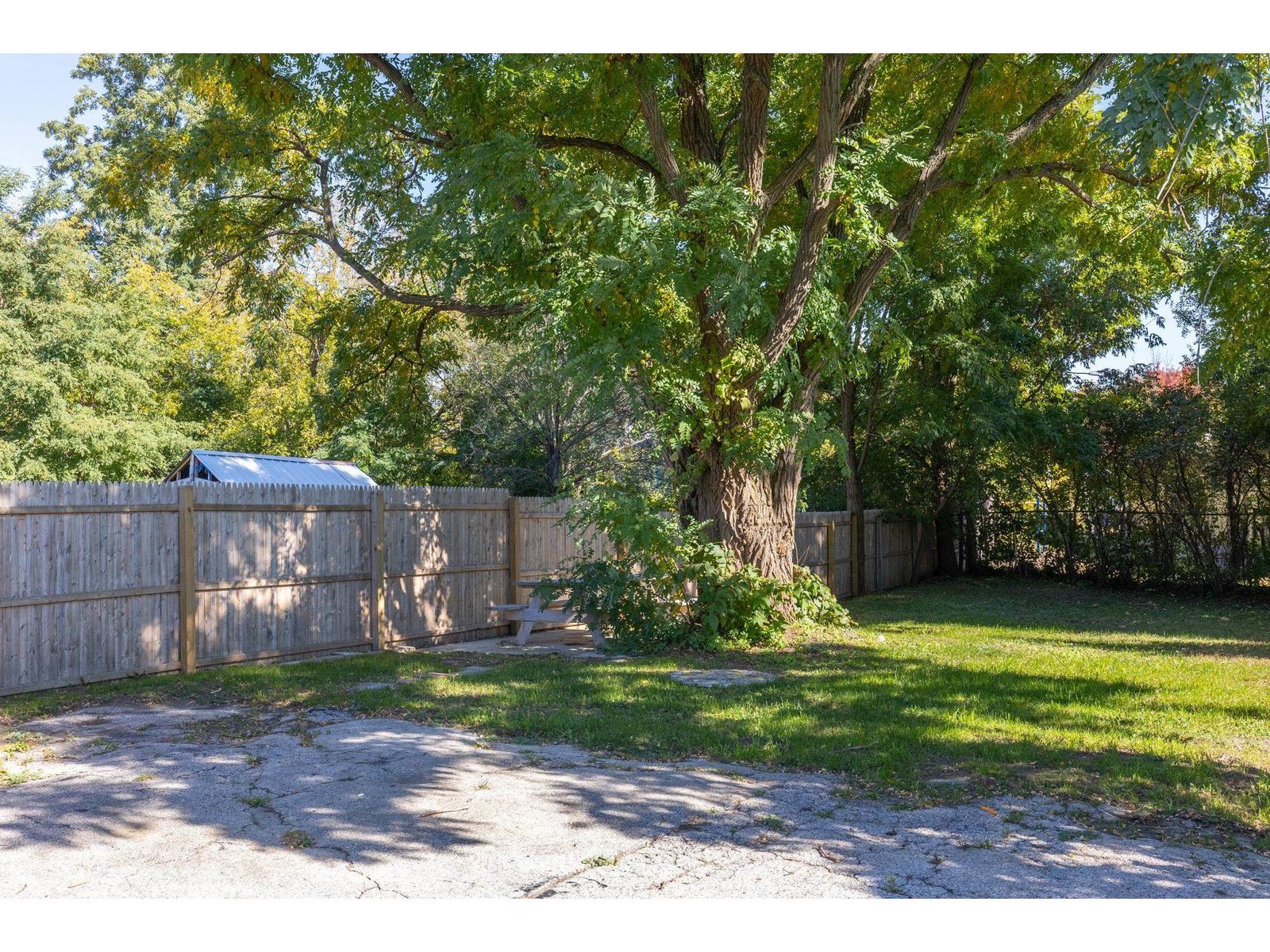 Backyard