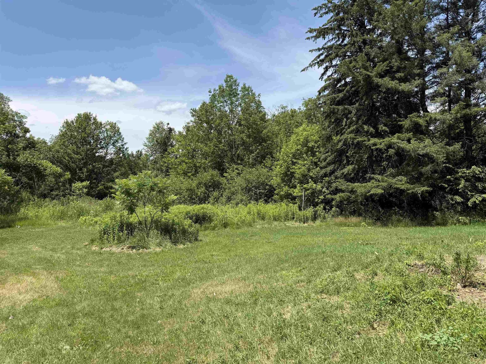 299 River Road