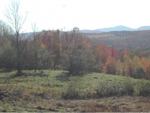 3 Coopers Landing