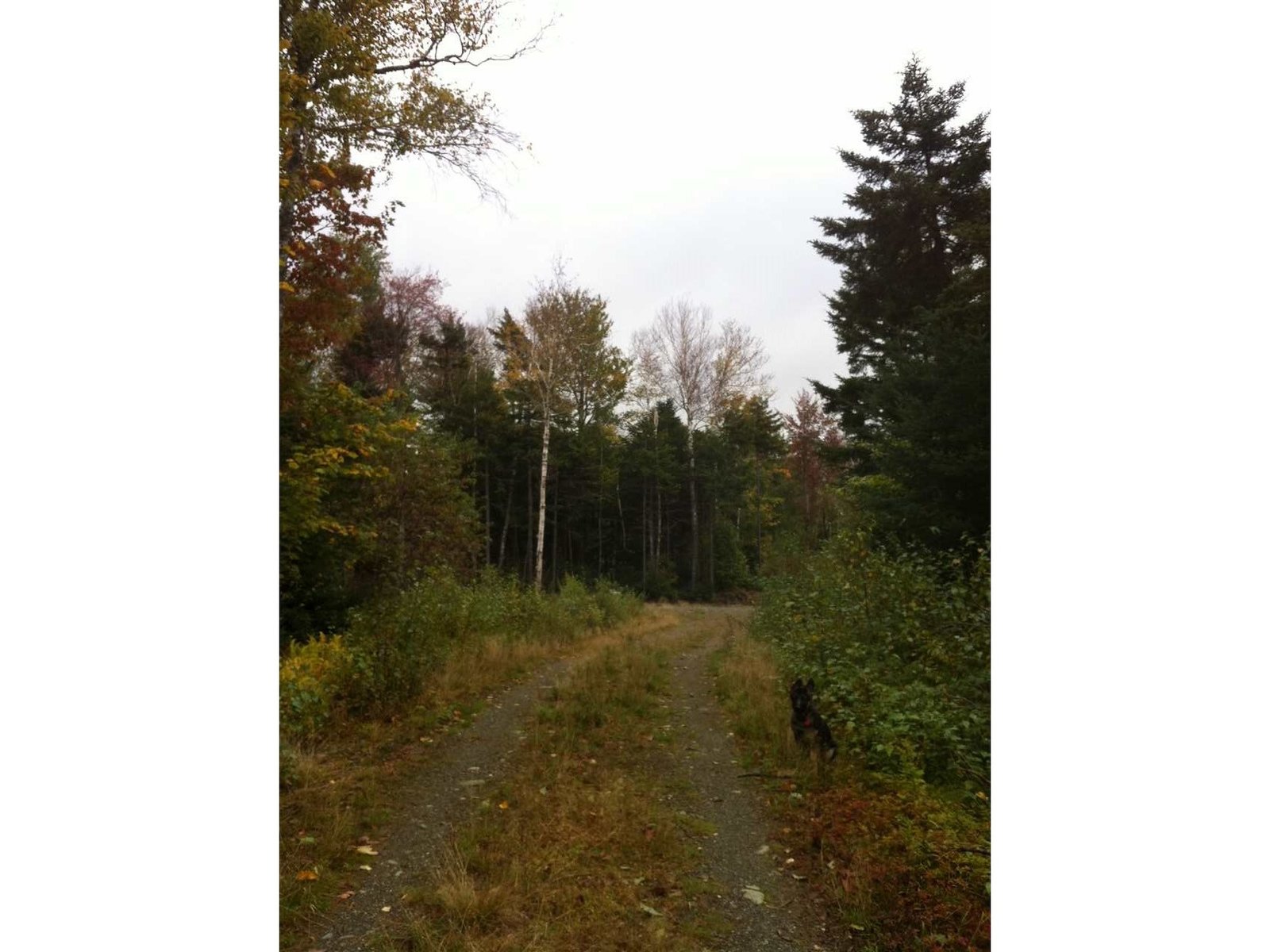3 F Westover Road