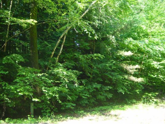 3 Fern Hollow Rd
