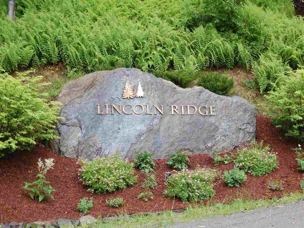 3 Lincoln Ridge Road