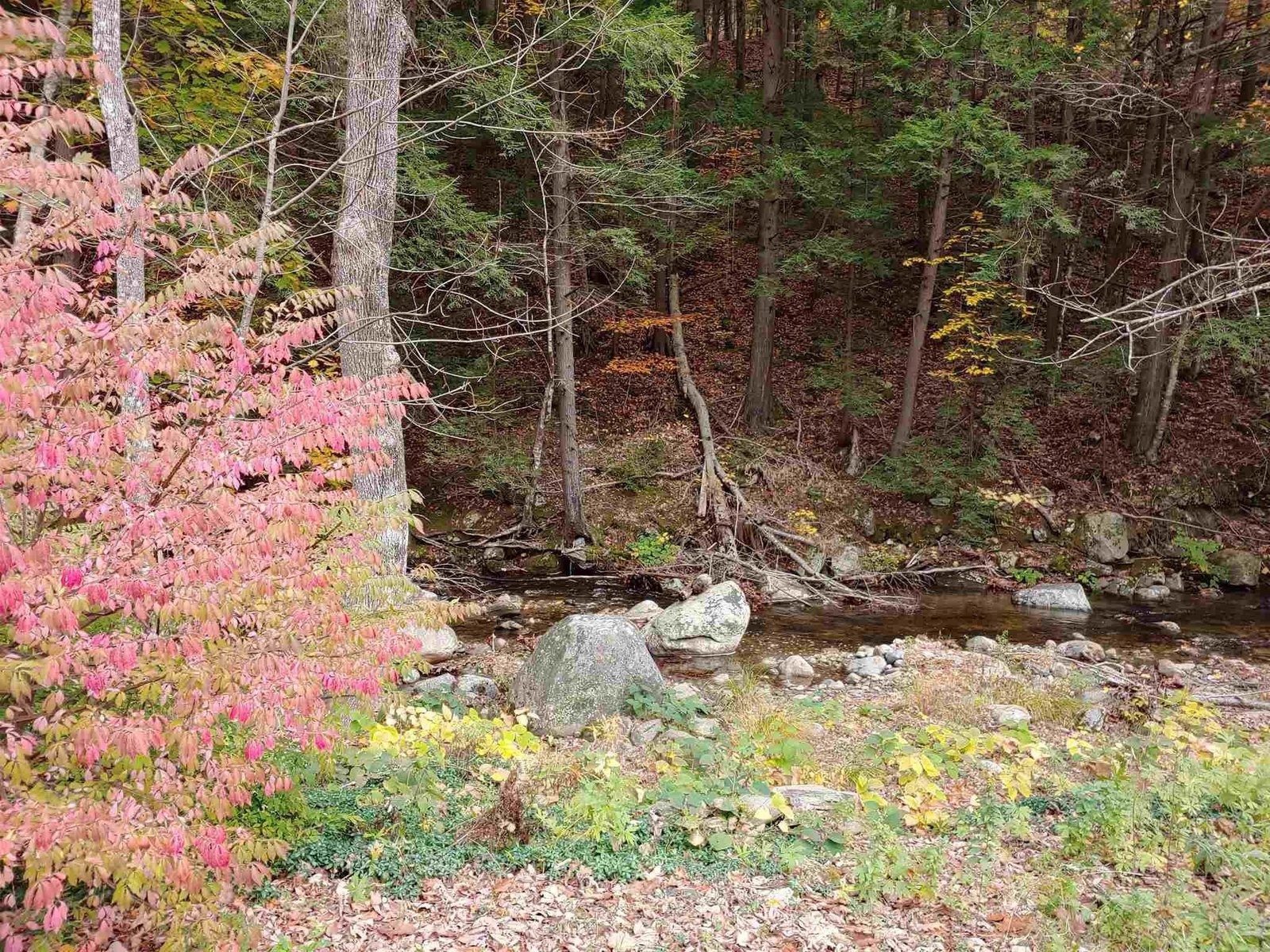 Ourside flood zone beauty