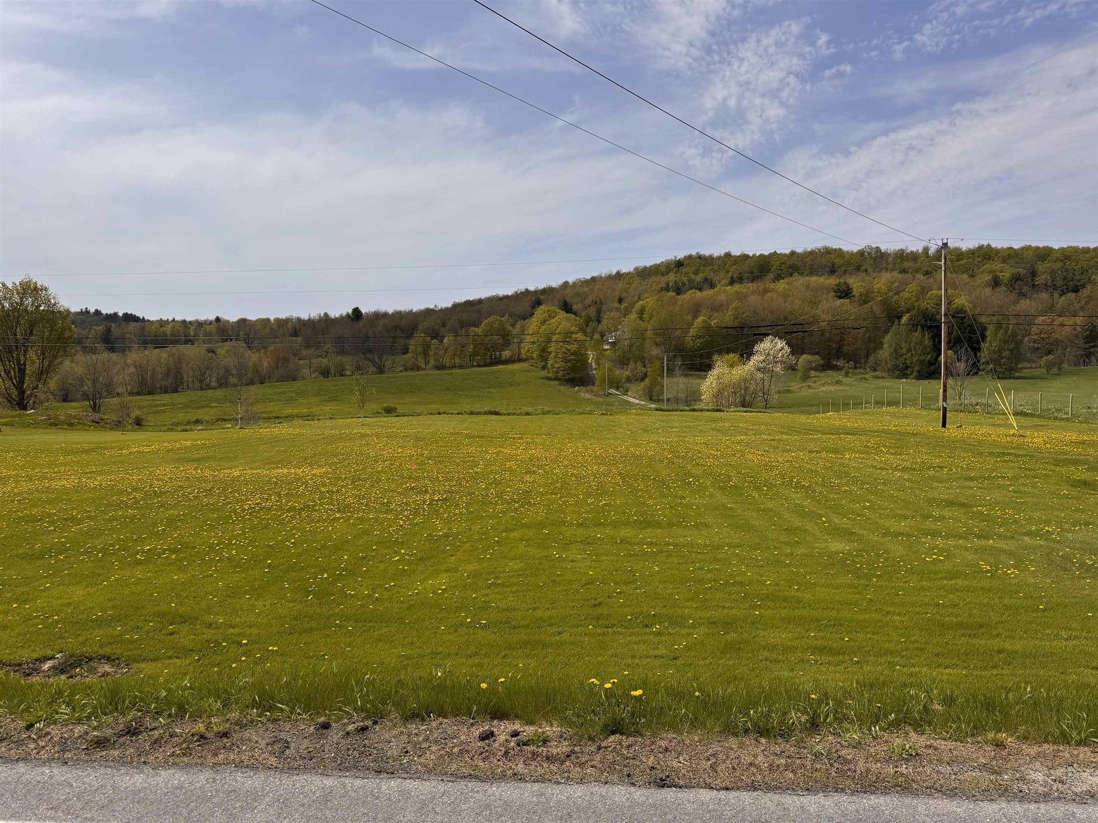 View from road
