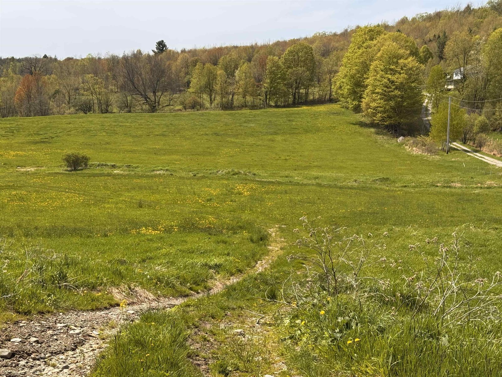 Trail down to brook and back field