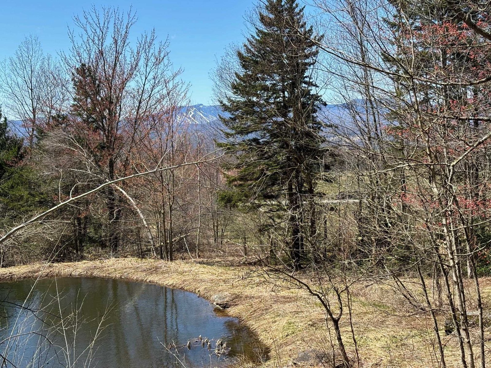 3029 Elmore Mountain Road