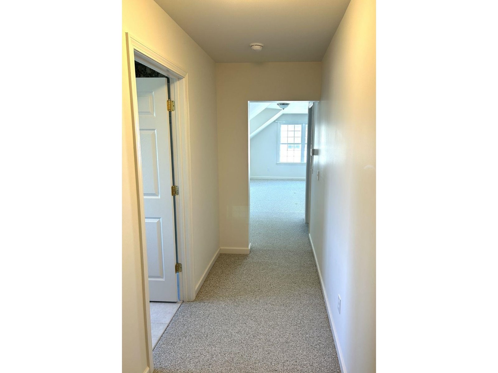 305 Farmall Drive