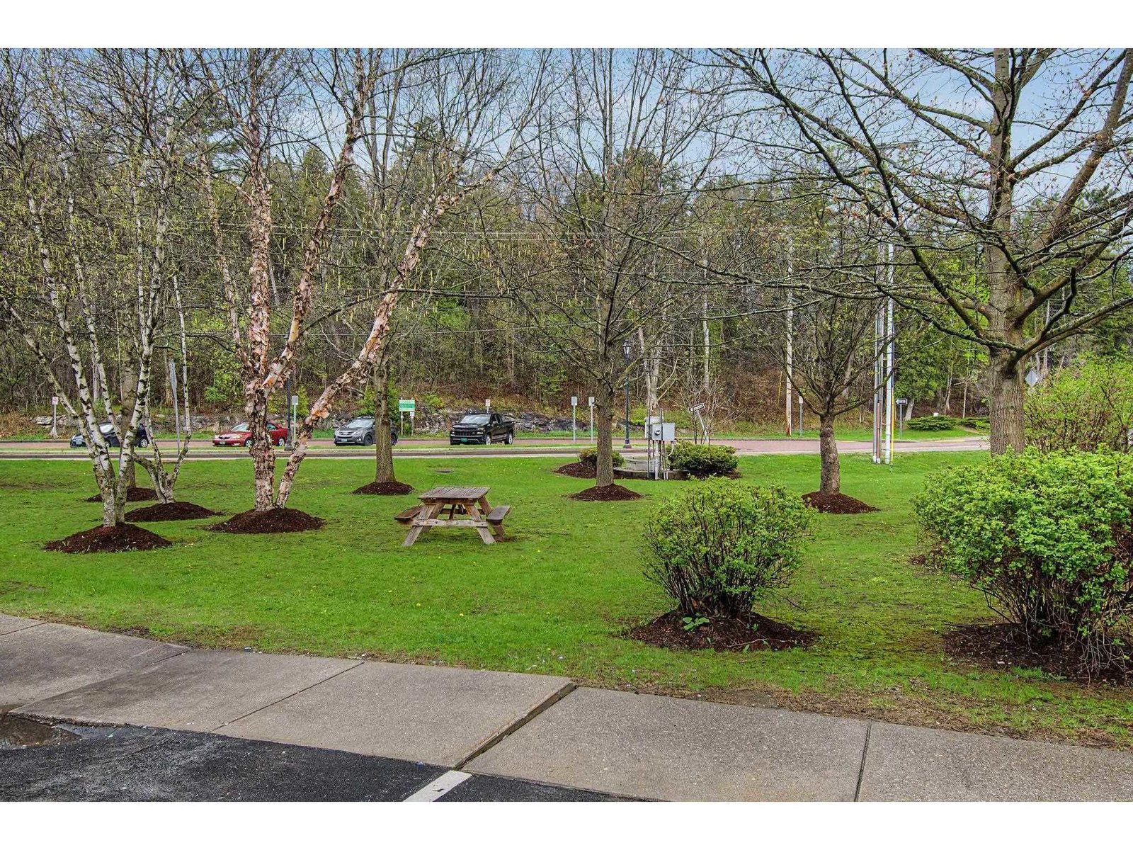 305 Lime Kiln Road, Unit 100