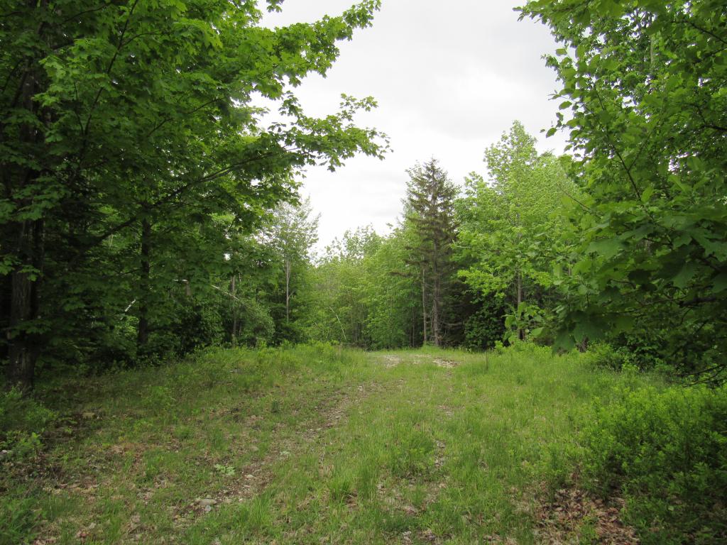 307 Kidder Hill Ridge
