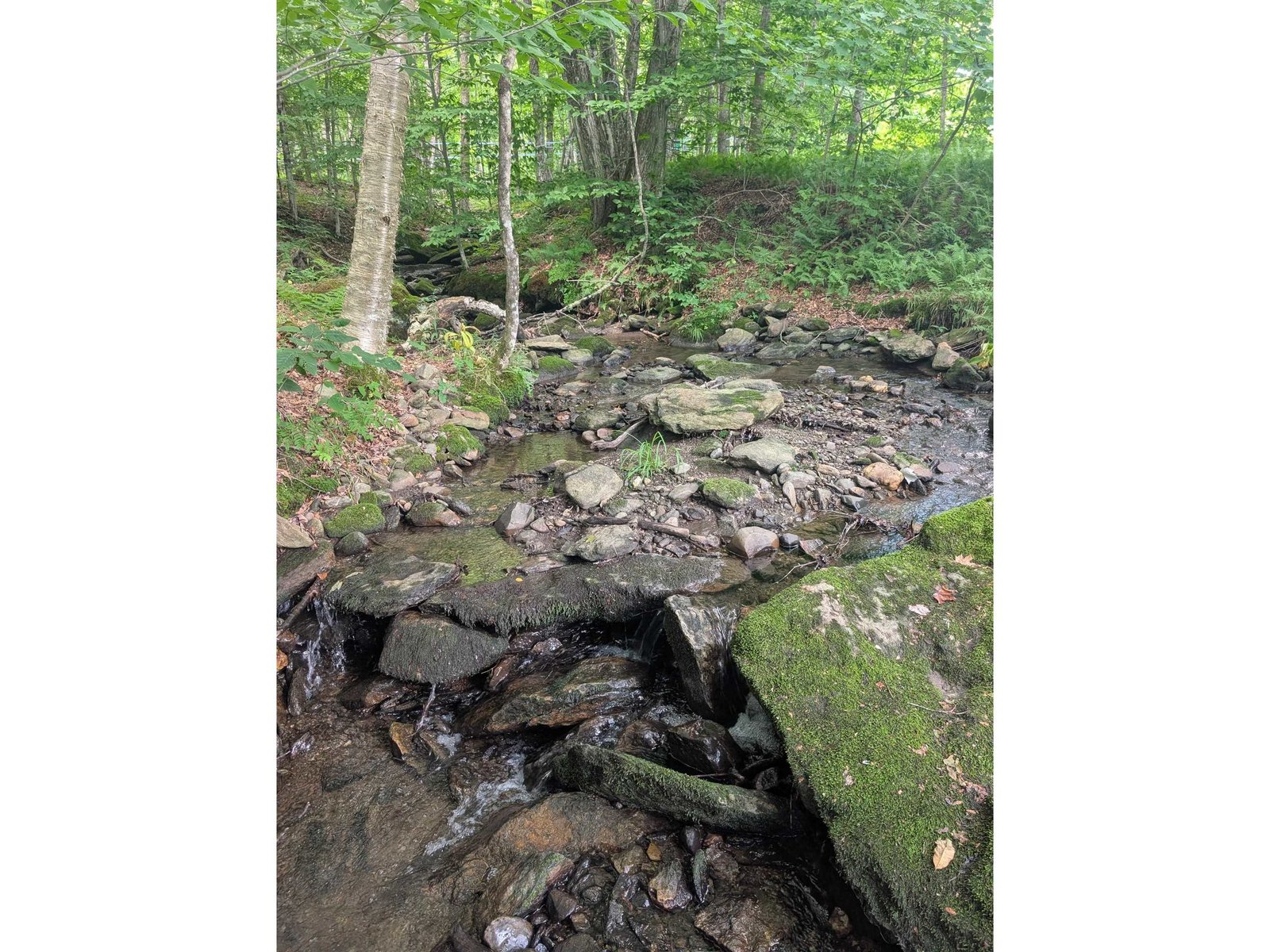 3076 Vermont Route 109