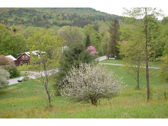 31 Beartown