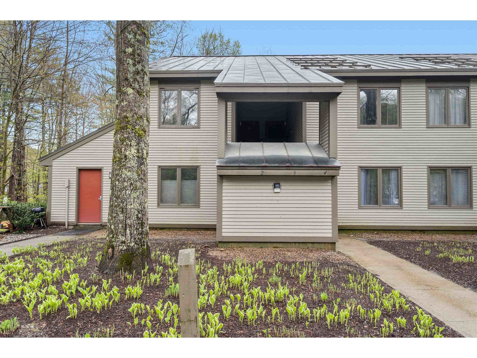31 Christmas Tree Road, Unit 3