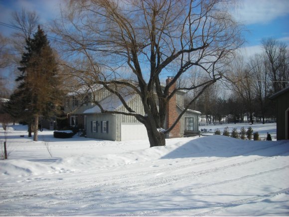 31 Collamer Crt