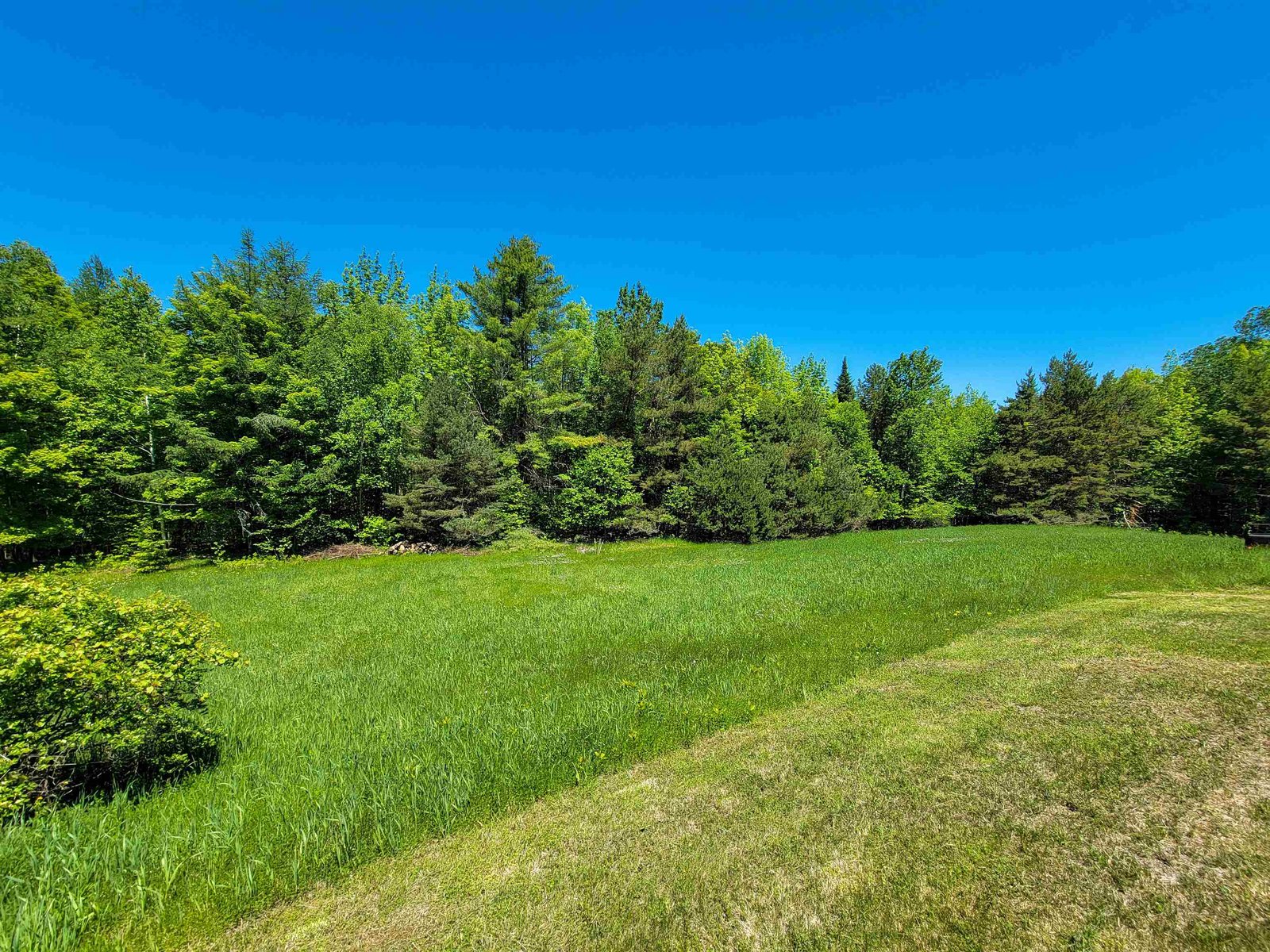 310 Sky Farm Lane