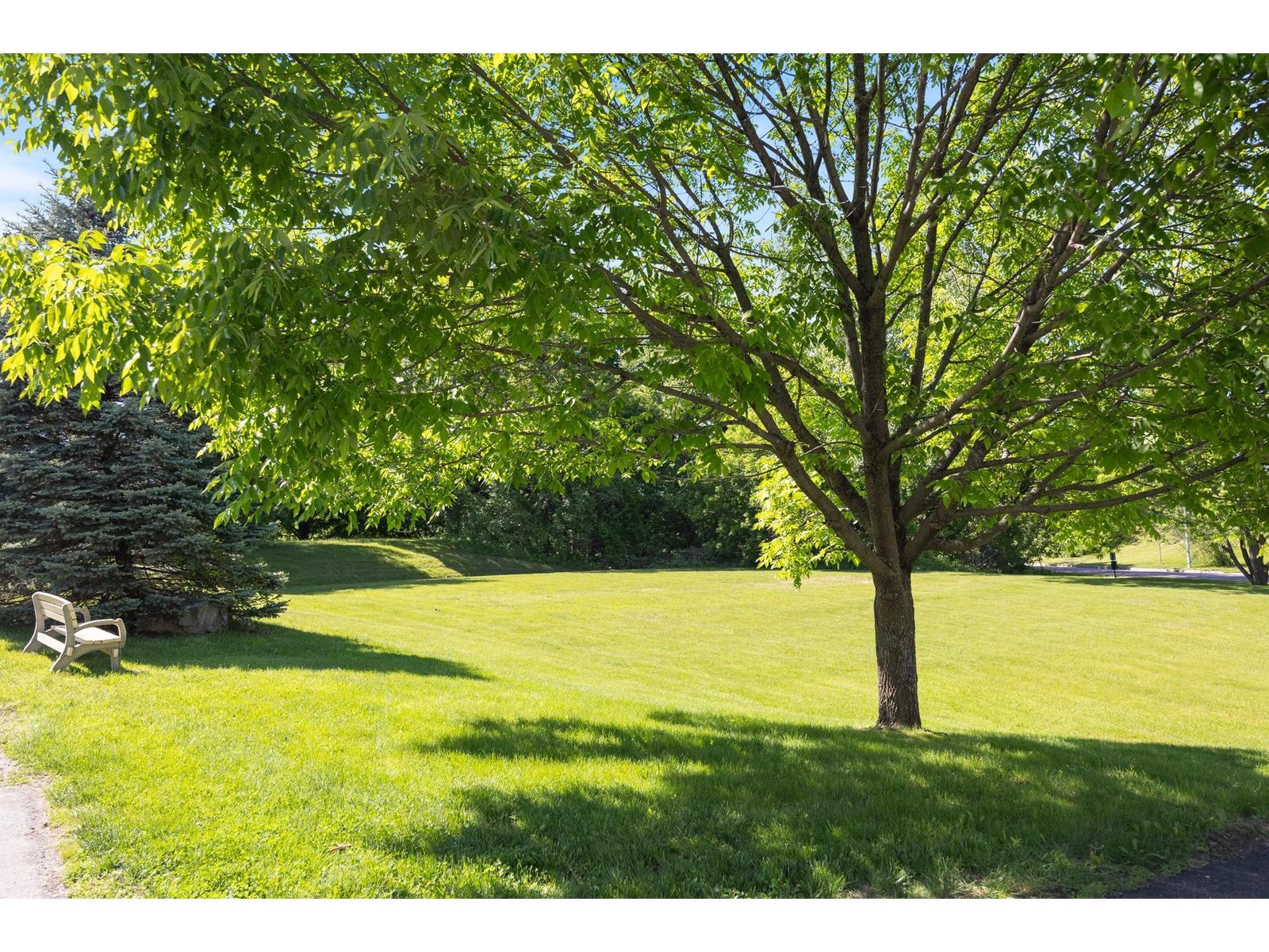 311 Abigail Drive